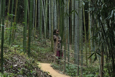 View of a woman in the bamboo forest