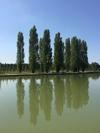Reflection of trees in lake against sky