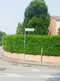 Trees growing in garden
