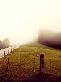 View of field in foggy weather