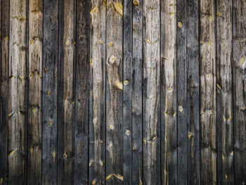 Full frame shot of weathered wood