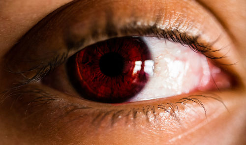 Close-up of human eye