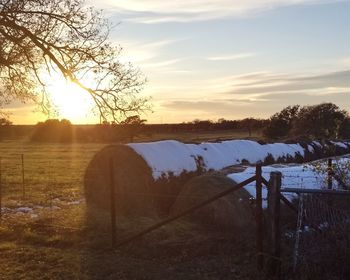 Scenic view of field against sky during sunset