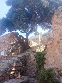 View of rock formation amidst trees