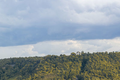 Trees on landscape against sky