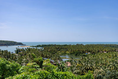 Plants growing by sea against clear blue sky