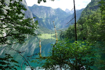 Scenic view of trees and mountains against sky