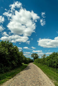 Empty road along plants and trees against sky
