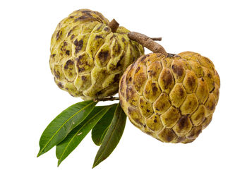 fruit