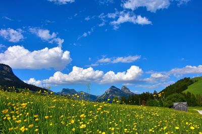 Scenic view of field against cloudy sky