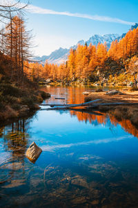 Scenic view of lake against sky during autumn