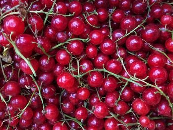 Full frame shot of red currants for sale at market stall