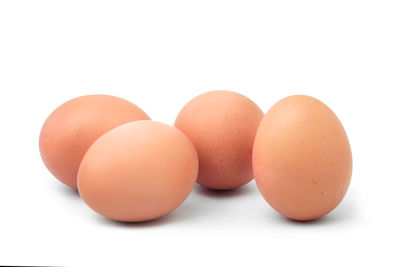 Close-up of eggs against white background