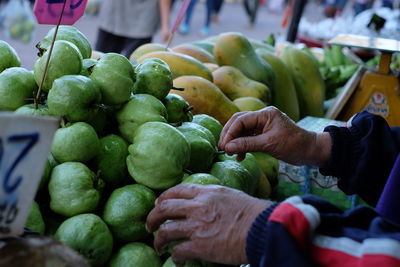 Close-up of hand holding fruits for sale at market stall