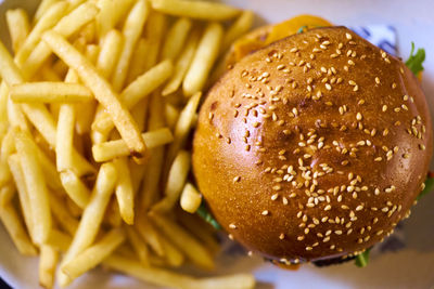 Burger and french fries in tray