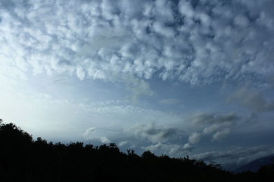 Low angle view of silhouette trees against sky