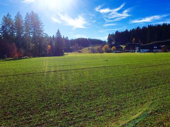 Scenic view of grassy field against sky