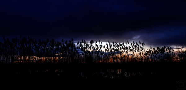 Panoramic view of sky during sunset