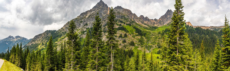 Panoramic view of green landscape against sky