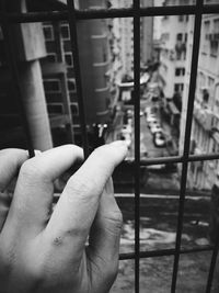 Cropped image of hand holding plant