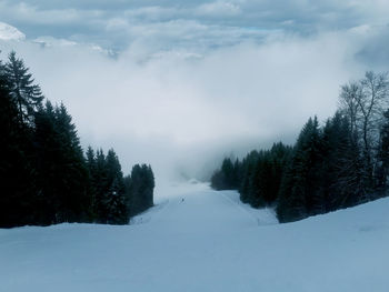 Trees on snow covered landscape against sky