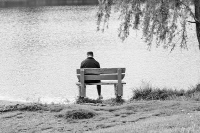 Rear view of man sitting on bench at lake