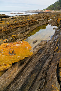 Close-up of rock on land against sky