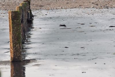 Wooden posts in water