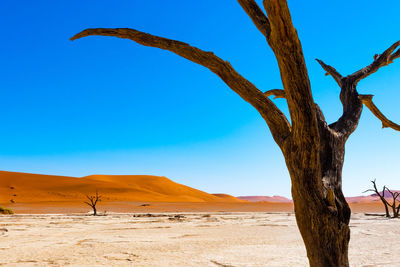 Scenic view of desert against clear blue sky