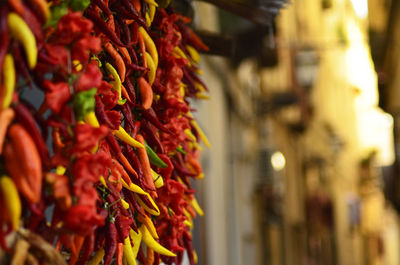 Red chili peppers for sale in market