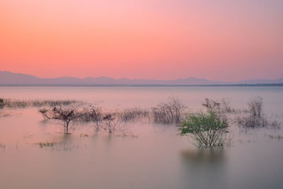 Green lake