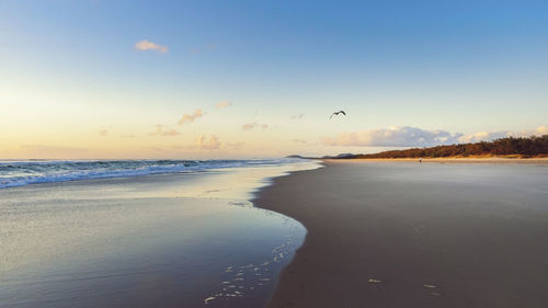 Beach against sky during sunset