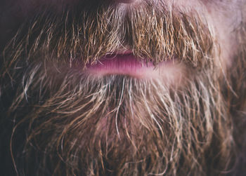 Cropped image of bearded man