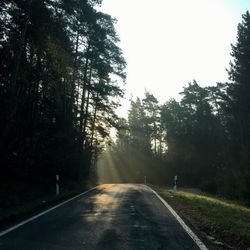 Rear view of road amidst trees against sky