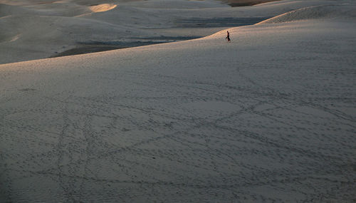 Person walking in desert
