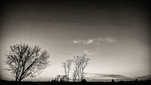 Silhouette bare tree on field against sky