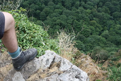 Low section of man on rock against trees