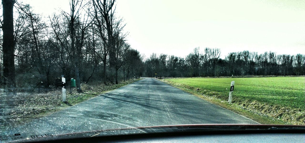 tree, transportation, road, the way forward, grass, clear sky, diminishing perspective, field, sky, country road, landscape, vanishing point, tranquility, nature, tranquil scene, empty, day, bare tree, growth, street