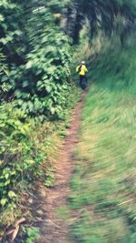 Rear view of person riding motorcycle in forest