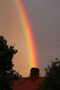 Scenic view of rainbow over trees