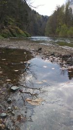Reflection of trees on water against sky