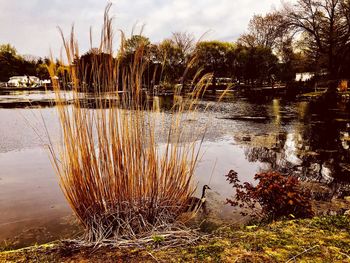 Scenic view of lake against sky