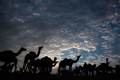 Group of silhouette people against the sky