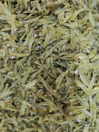 Full frame shot of dried vegetables in market