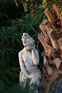 Close-up of statue