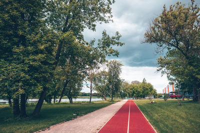 Road amidst trees against sky