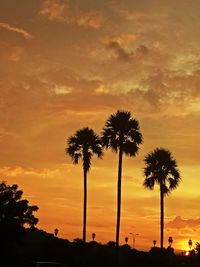 Silhouette palm trees against sky during sunset