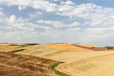 Scenic view of cultivated farm landscape against sky