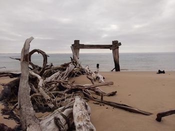 Driftwood on beach against sky