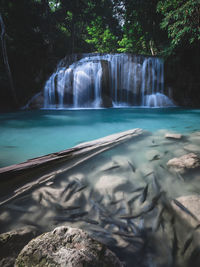 View of waterfall in forest